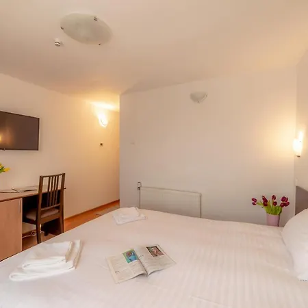 ゲストハウス Pension Cluj 3*