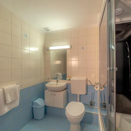 Pension Cluj Pensjonat 3*