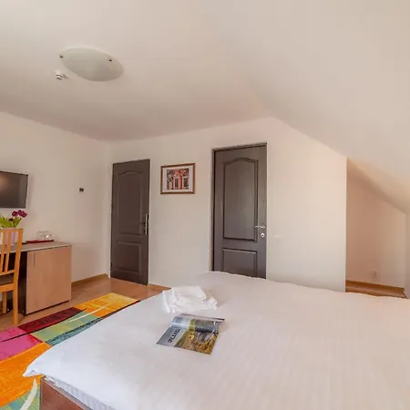 Pension Cluj 3* クルージュ＝ナポカ