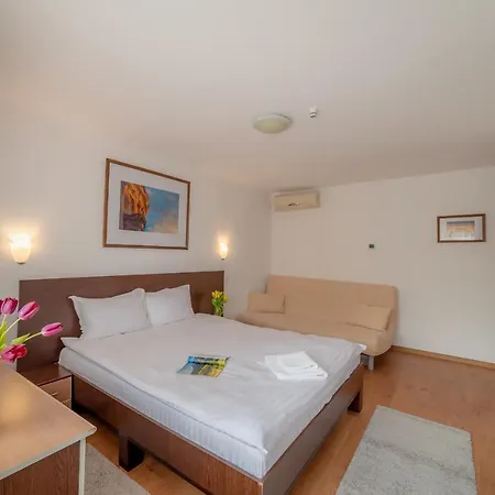 Pension Cluj 3*