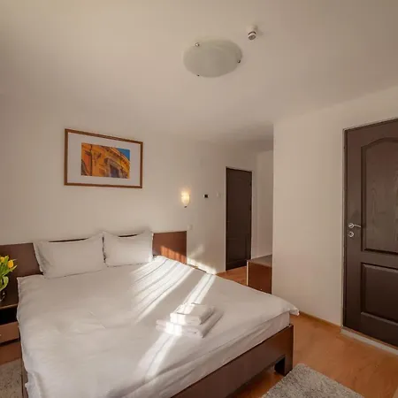 Konukevi Pension Cluj 3*