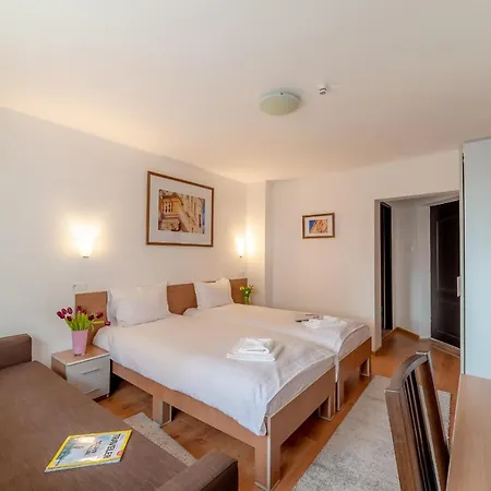Pension Cluj 3*
