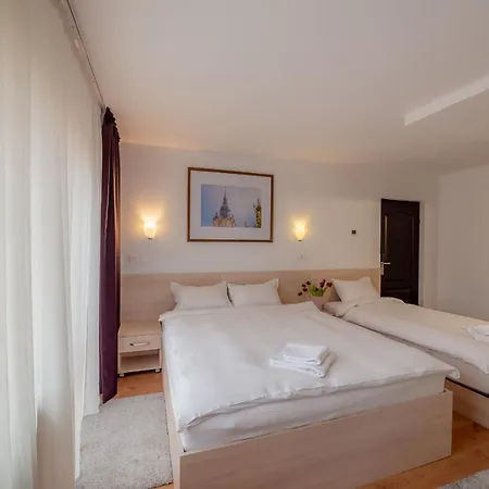 Pension Cluj 3* クルージュ＝ナポカ