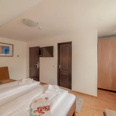 Pension Cluj Konukevi 3*