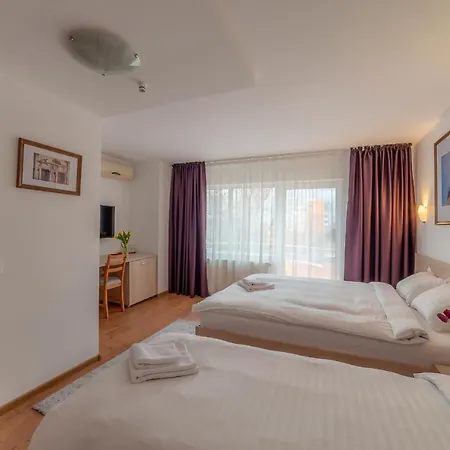 Pension Cluj 3*