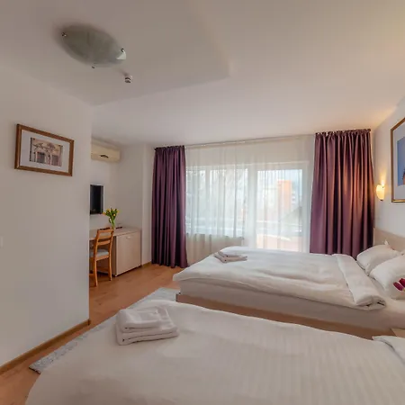 Pension Cluj Pensjonat 3*