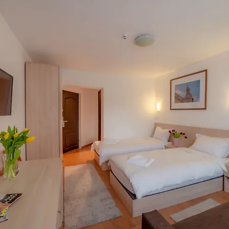 Pension Cluj ゲストハウス