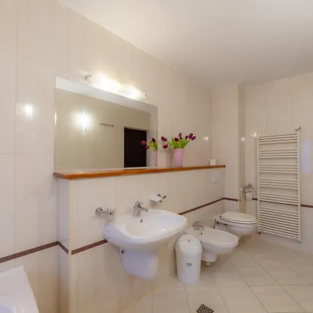 Pension Cluj 3* Κλουζ-Ναπόκα