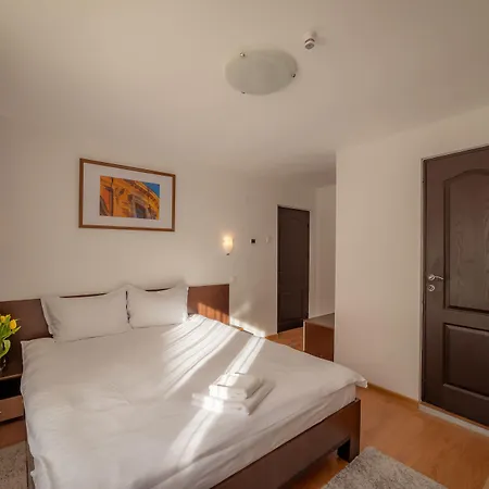Pension Cluj 3* Kluż-Napoka