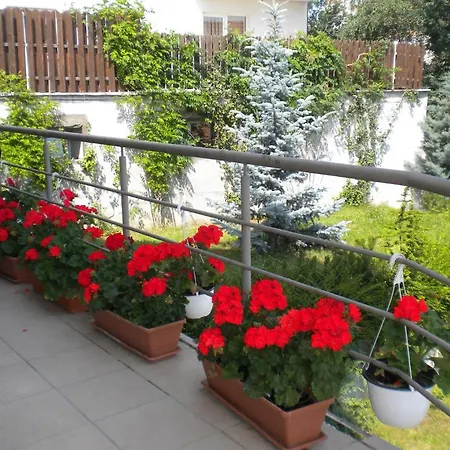 Pension Cluj 3*