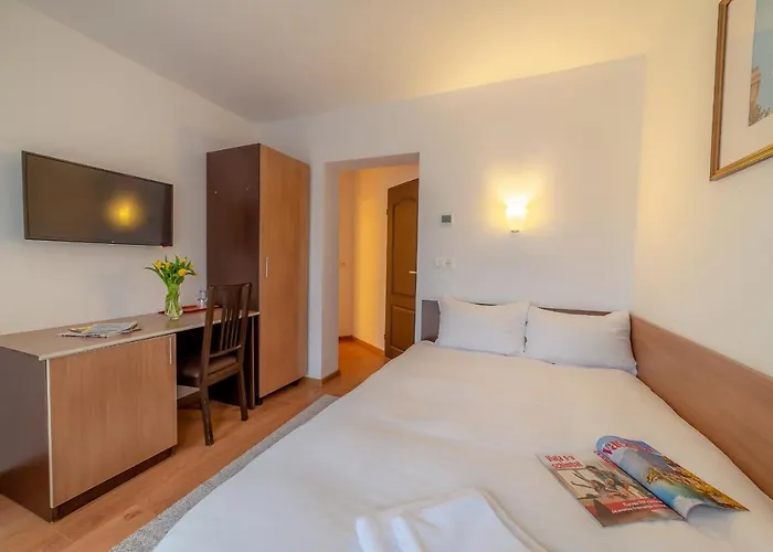 Pension Cluj Cluj-Napoca