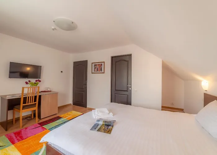 Pension Cluj 3* Cluj-Napoca