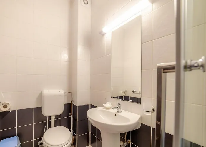 Pension Cluj Penzion Kluž