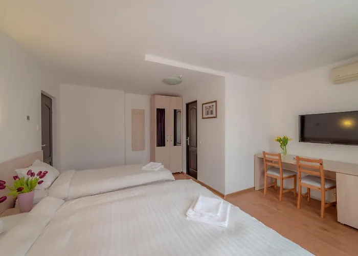 Pension Cluj Cluj-Napoca