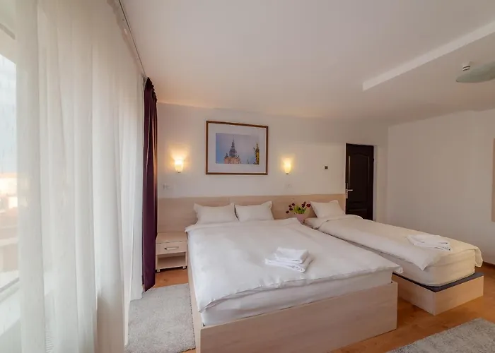 Pension Cluj 3* Cluj-Napoca