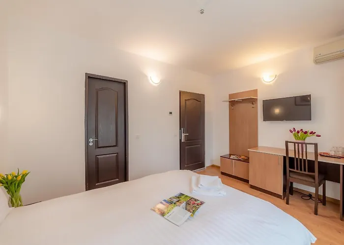 Pension Cluj 3* Cluj-Napoca