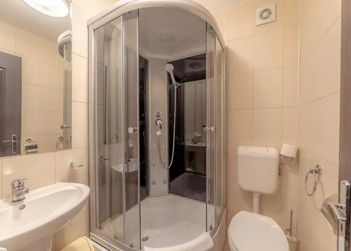 Pension Cluj 3* Kluž