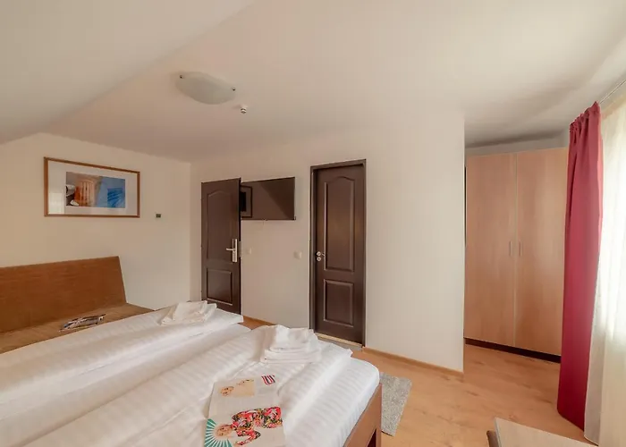 Pension Cluj Pensión 3*