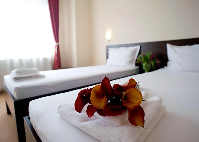 Pension Cluj Pensión 3*