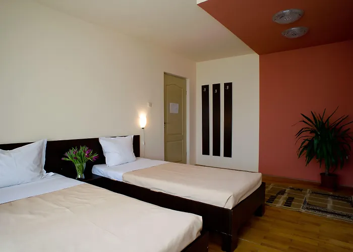 Pension Cluj Penzion Kluž