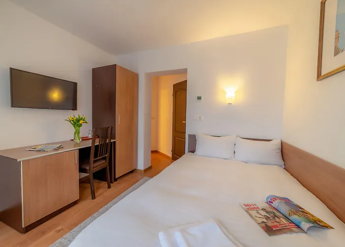 Pension Cluj Penzion