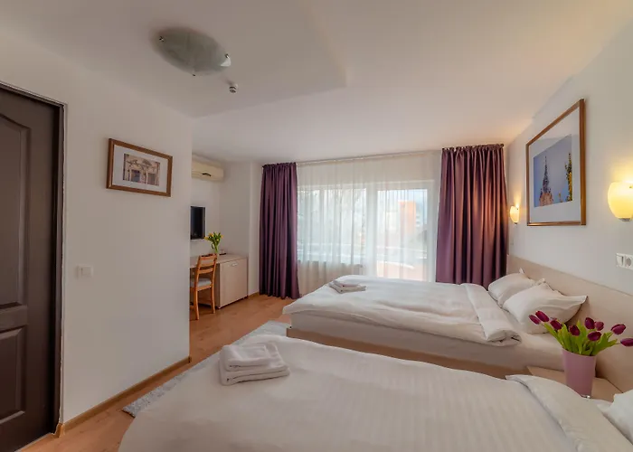Pension Cluj Pensión 3*