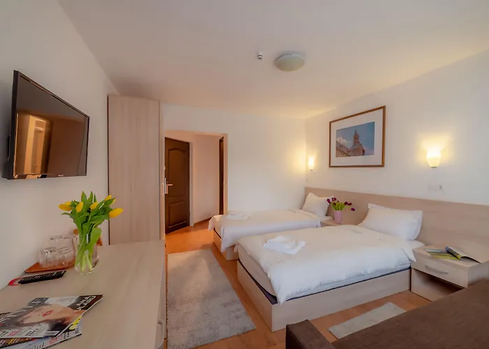 Pension Cluj Penzion